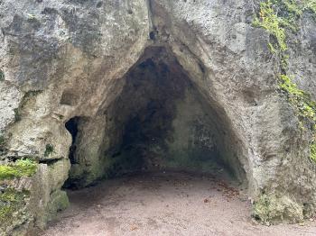 Schlosspark Altenstein (Bad Liebenstein)
